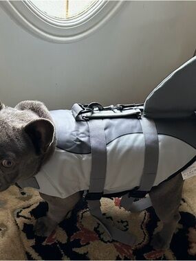 Bowlift Dog Life Jacket - Gray Pet Safety Vest Never Worn